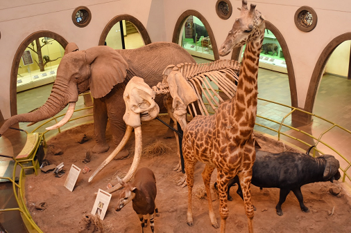 nairobi-museum