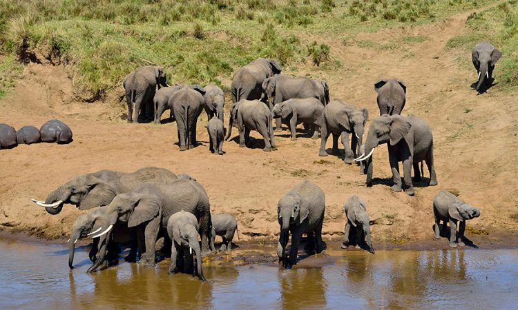Photo of Tarangire National Park