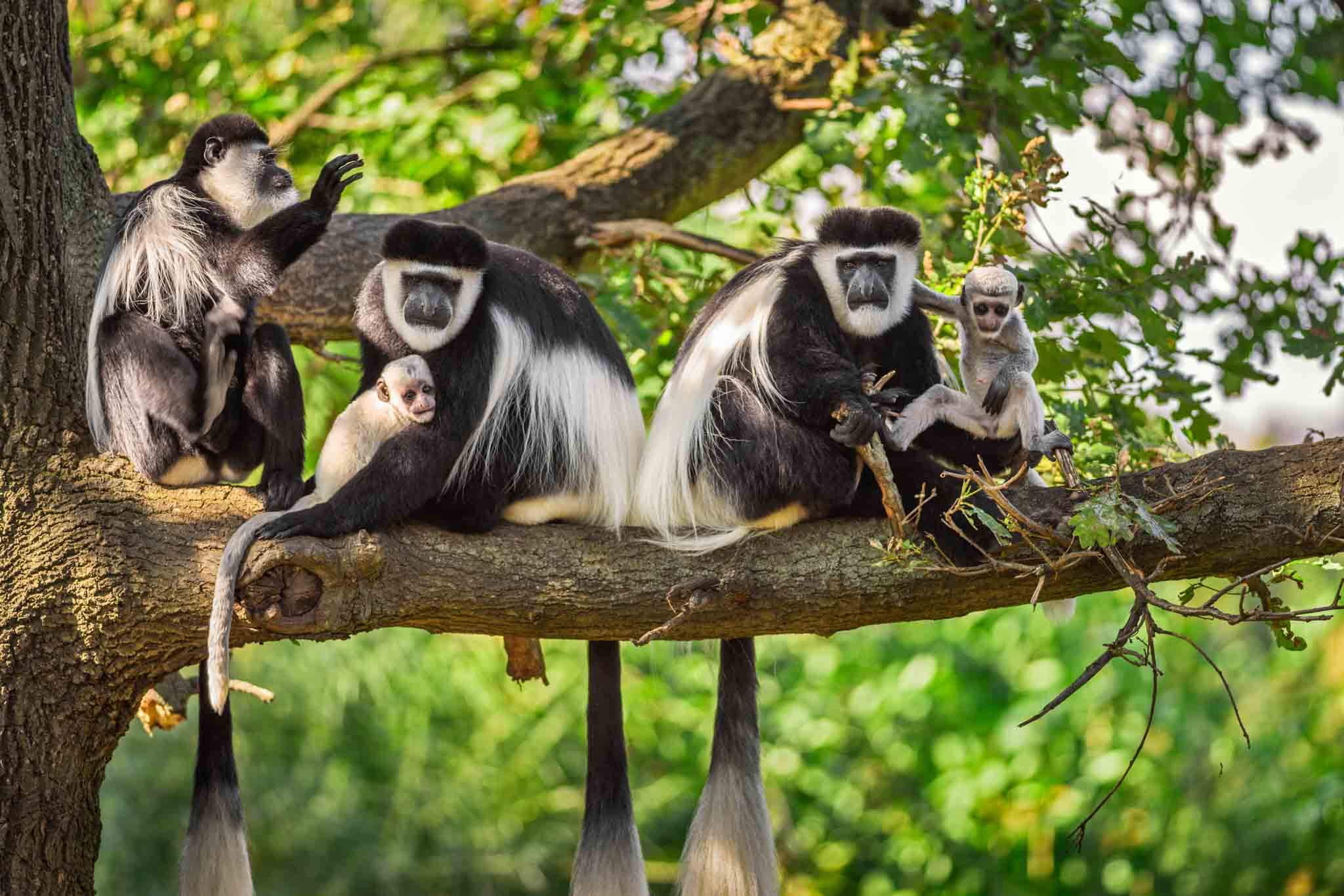 Photo of Arusha National Park